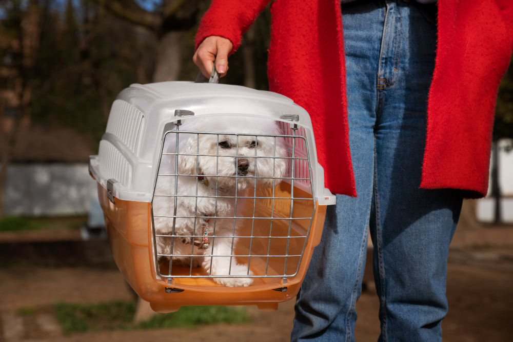 Pet Cages
